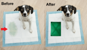 Hide A Pee™ Pee Spot Covers for Dog Pee Pads | 1 Red Paw Prints X Starter Kit