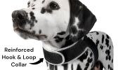 NEW Mini Pet Tracker GPS Collar for Dog Compatible for iPhone Android Size:M