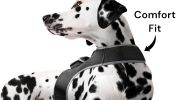 Realtime GSM GPRS Waterproof Pet Tracker for Dogs/Cats with Phone App Size:M