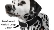 Get Accurate Pet Locations w/ Pet Tracker Realtime Dog Collar GPS Tracker Size:XL