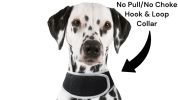 Realtime Waterproof GPS Electronic Pet Tracking Devices for Dogs Cats Size:M