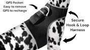 Pet Tracker Waterproof Mini Tracking System Realtime GPS Locator for Dogs Size:M
