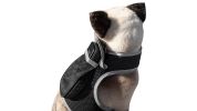 Realtime GSM GPRS Waterproof Pet Tracker for Dogs/Cats with Phone App Size:M